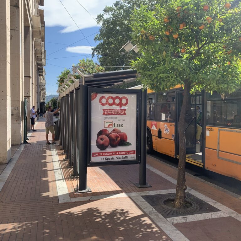 Pensilina attesa bus (9)